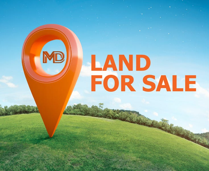 Real Estate in Sydney, multidynamic real estate